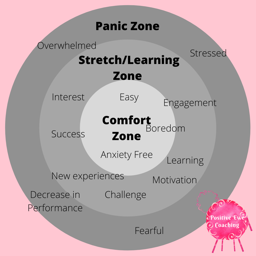 Goal Setting - Stretch Zone is where you want to be - Positive Ewe